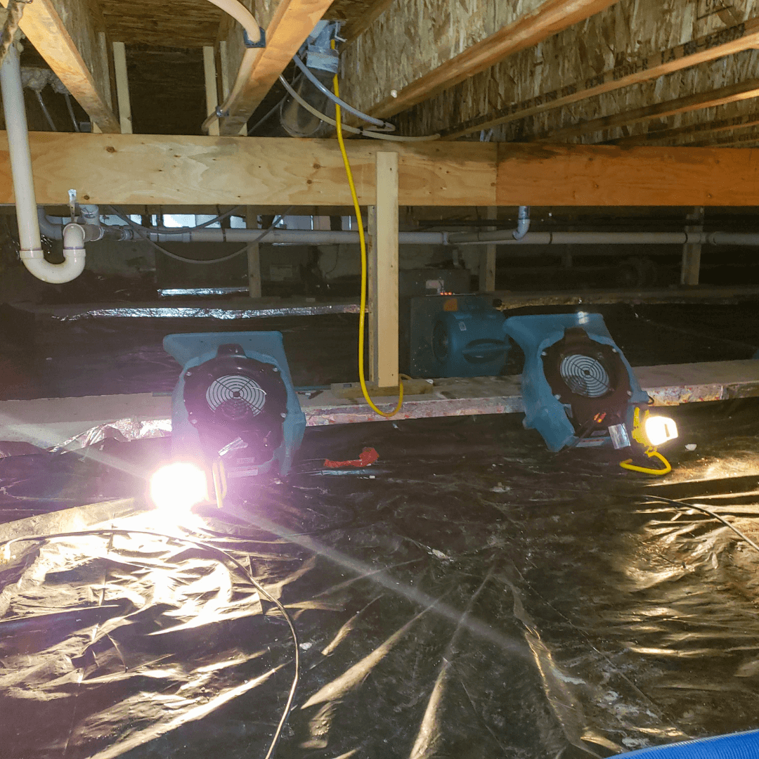 Untitled design (5) mains water repair and replacement